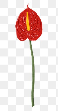 Red anthurium png flower sticker, transparent background