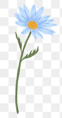 Blue daisy png flower drawing sticker, transparent background