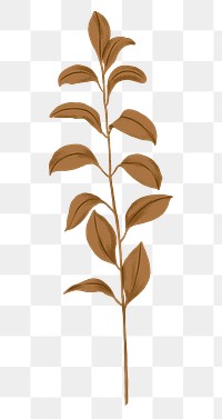 Brown leaf png Autumn sticker, transparent background