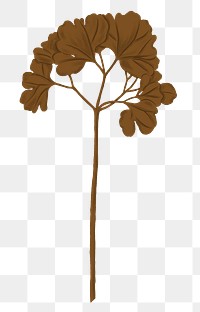 Brown ginkgo png leaf sticker, transparent background