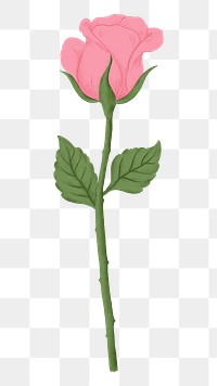 Pink rose png flower sticker, transparent background