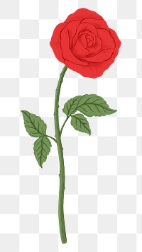 Red rose png flower sticker, transparent background