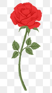 Red rose png flower sticker, transparent background