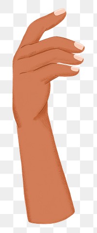 Hand png holding gesture sticker, transparent background