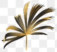 Gold palm png gold sticker, transparent background