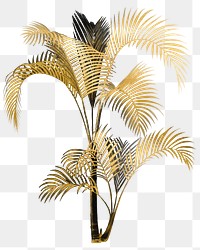 Gold palm png tree sticker, transparent background