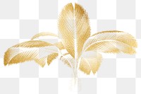 PNG aesthetic palm tree sticker, transparent background