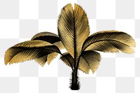 Gold palm tree png plant sticker, transparent background