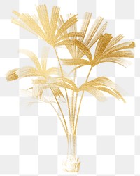 PNG gold mangrove fan palm sticker, transparent background