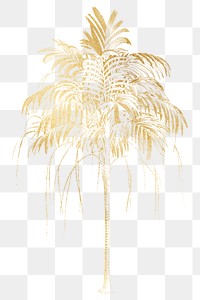 Gold palm tree png plant sticker, transparent background