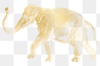 Gold elephant png animal sticker, transparent background