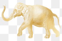 Gold elephant png animal sticker, transparent background