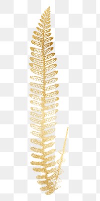 Gold fern leaf png sticker, transparent background