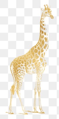 Gold giraffe png animal sticker, transparent background