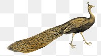 Gold peacock png bird sticker, transparent background