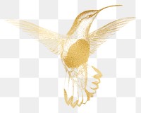 Gold hummingbird png sticker, transparent background