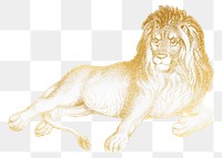 Gold lion png animal sticker, transparent background