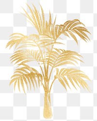 PNG aesthetic palm tree sticker, transparent background