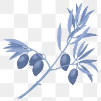 Olive branch png blue plant sticker, transparent background