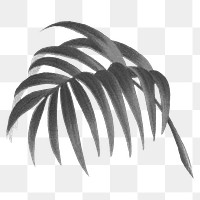 Palm leaf png black sticker, transparent background