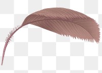 Palm leaf png tropical sticker, transparent background