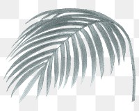 Palm leaf png vintage plant sticker, transparent background