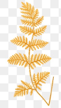 Yellow fern png vintage botanical sticker, transparent background