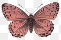 Pink butterfly png insect sticker, transparent background