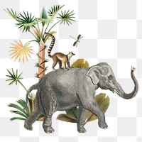 Vintage elephant png animal sticker, transparent background