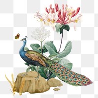 Floral peacock png bird sticker, transparent background