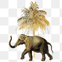 Gold elephant png animal sticker, transparent background