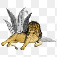 Gold lion png animal sticker, transparent background