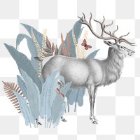 Vintage elk png animal sticker, transparent background