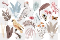 Exotic birds png sticker set, transparent background