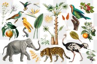 Vintage wild animals png sticker set, transparent background