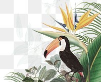 Tropical exotic png bird border, transparent background