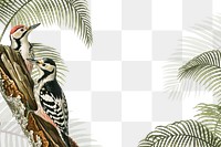 Exotic birds png border, transparent background