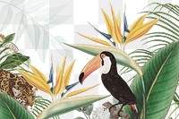 Tropical exotic bird png, transparent background