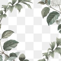 Vintage leaf png frame, transparent background