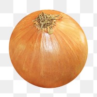 Onion vegetable png sticker, transparent background