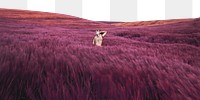 Pink grass png field border, nature aesthetic image, transparent background