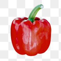 Bell pepper png vegetable sticker, transparent background