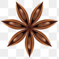 Star anise png Christmas sticker, transparent background