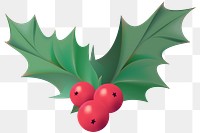 Holly berry png Christmas sticker, transparent background