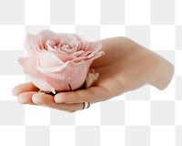 Woman holding rose png sticker isolated image, transparent background