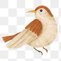 Little bird png sticker, animal illustration, transparent background