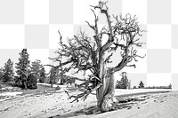 Black & white tree png sticker, transparent background