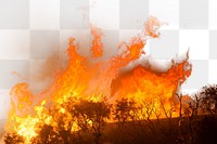 Forest fire png border, transparent background