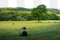 PNG green hay bales border, transparent background