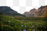 PNG wildflowers & mountain border, transparent background